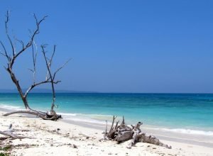 Andaman_Kalapathar_Beach_Main