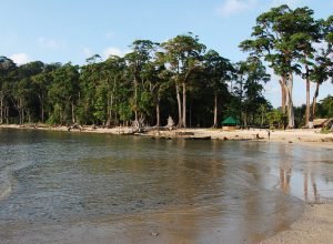 Munda pahad beach in Chidiya tapu